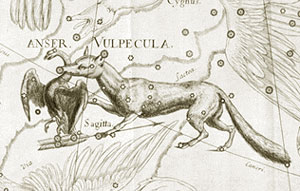 Vulpecula et Anser, the Fox and Goose